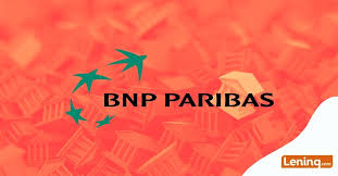 Flexibel lenen met BNP Paribas: Ontdek de mogelijkheden voor uw financiële behoeften