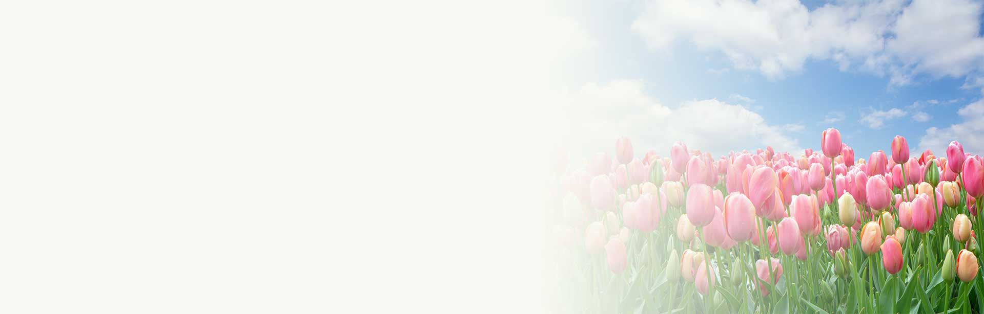 Alles wat u moet weten over het lenen van 50.000 euro